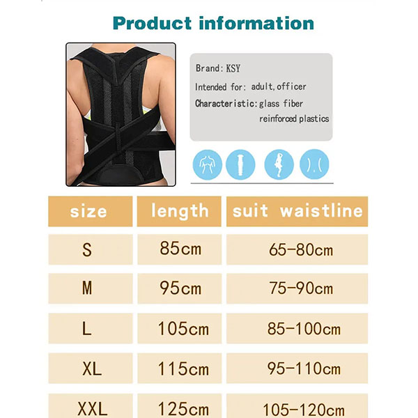 lumber support belt sizes