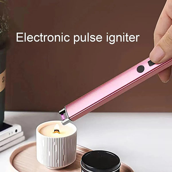 electronic igniter